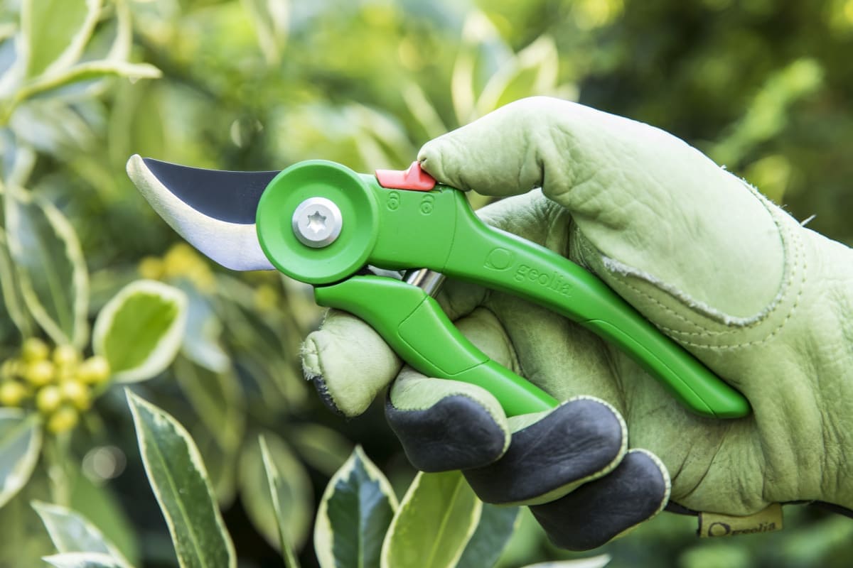Bricocenter GEOLIA GARDEN SHEAR BYPASS CUT UP TO 16 MM