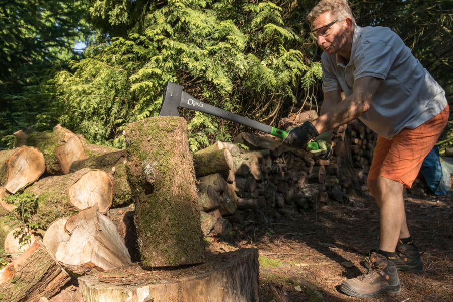 Bricocenter GEOLIA AXE WITH FIBREGLASS HANDLE 1600GR