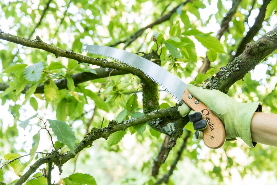 Bricocenter GEOLIA JIGSAW WITH WOODEN HANDLE
