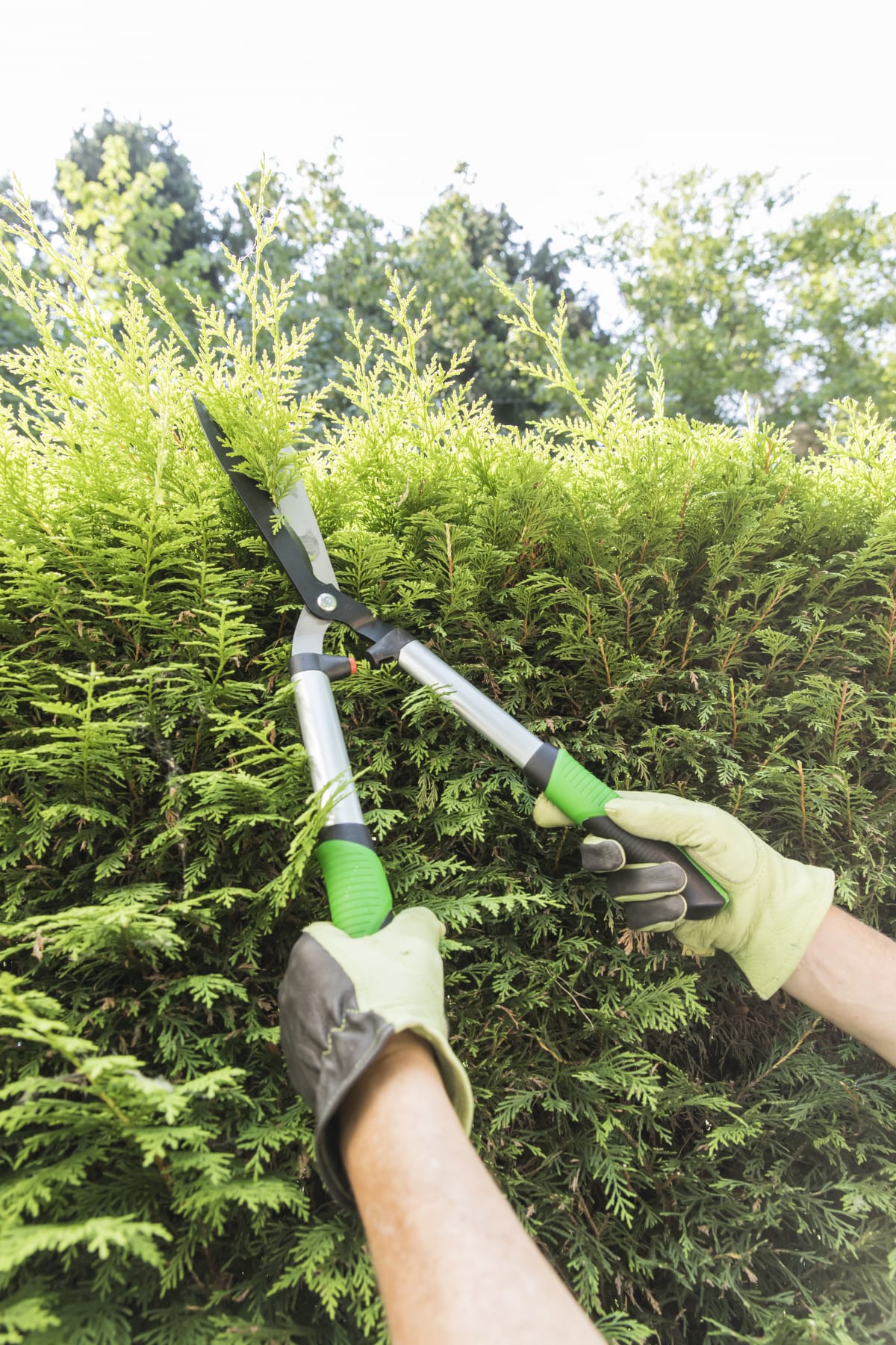 GEOLIA ALUMINIUM HEDGE TRIMMER WITH WAVE BLADES