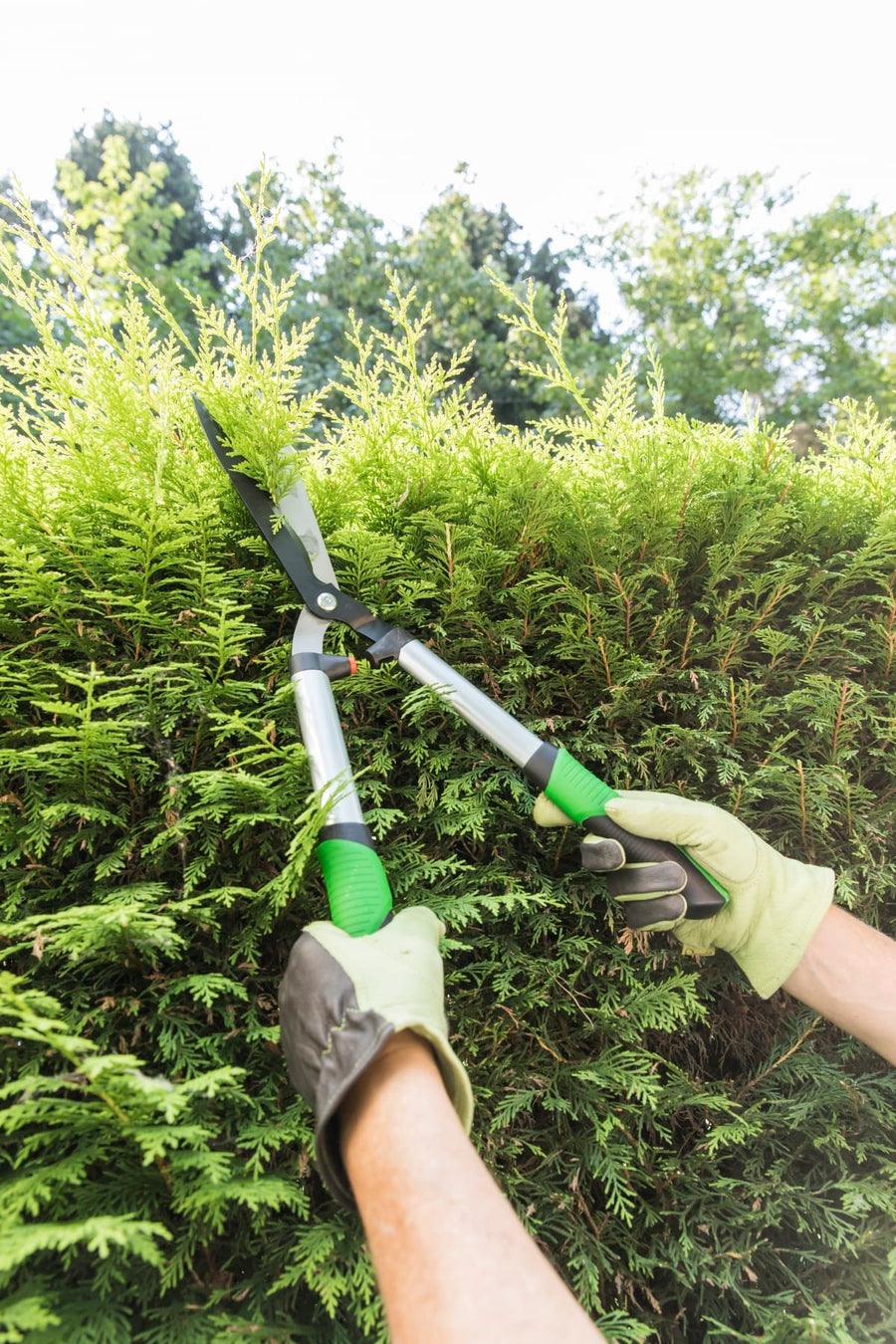 Bricocenter GEOLIA ALUMINIUM HEDGE TRIMMER WITH WAVE BLADES