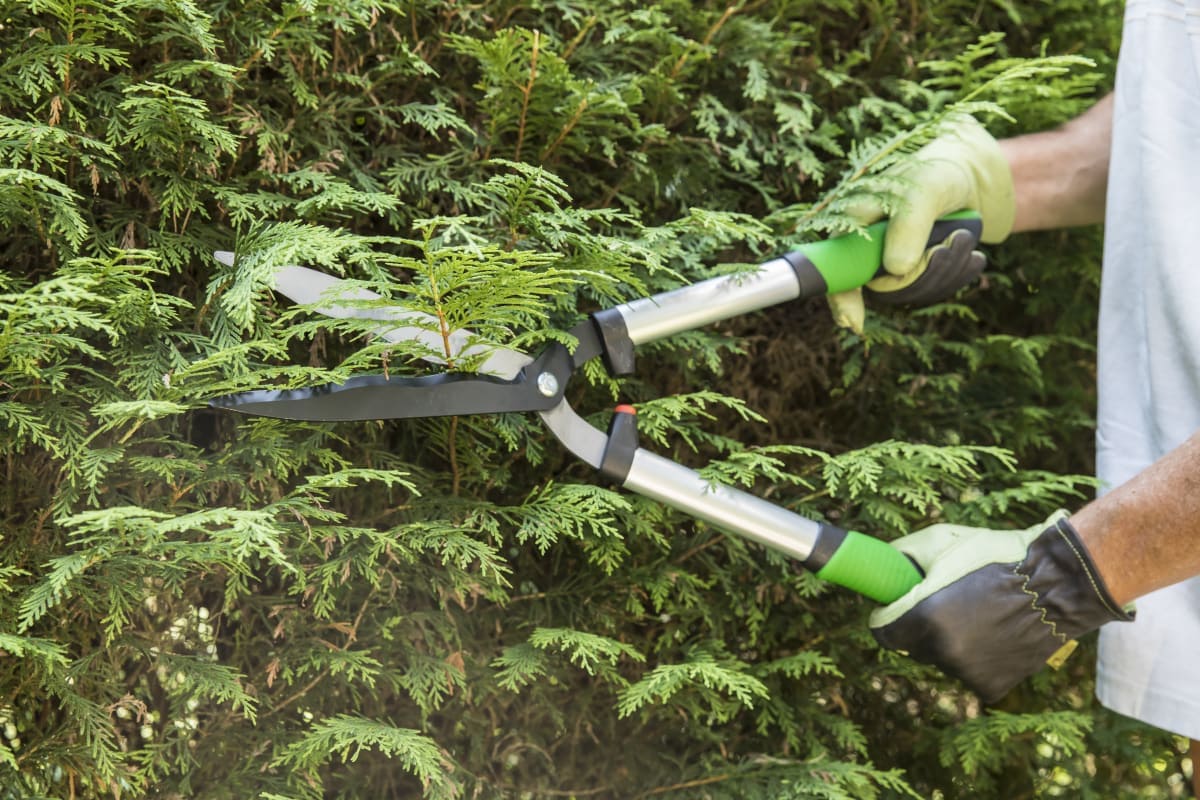 Bricocenter GEOLIA ALUMINIUM HEDGE TRIMMER WITH WAVE BLADES