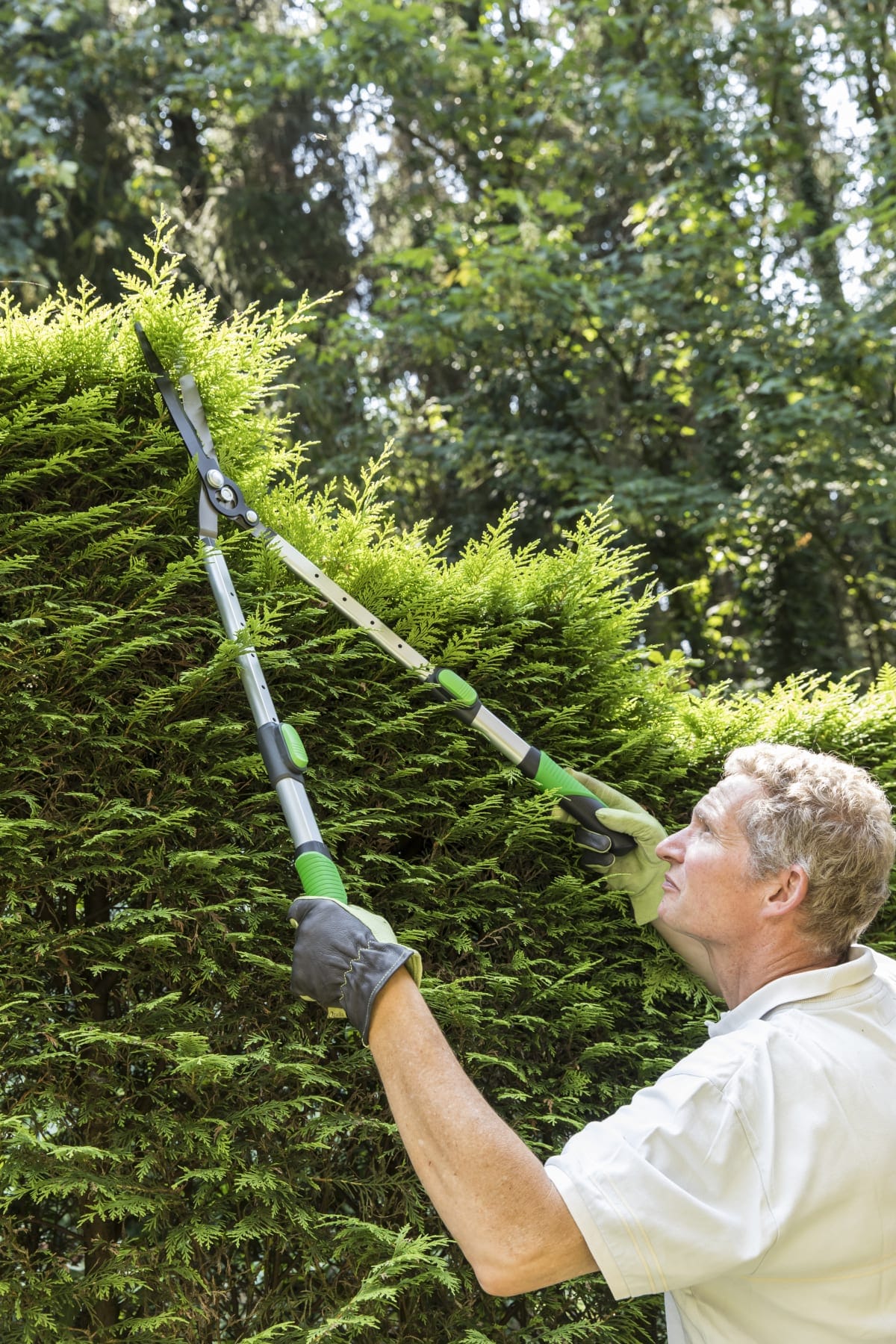 Bricocenter GEOLIA 66-90 CM EXTENDABLE ALUMINIUM HEDGE TRIMMER