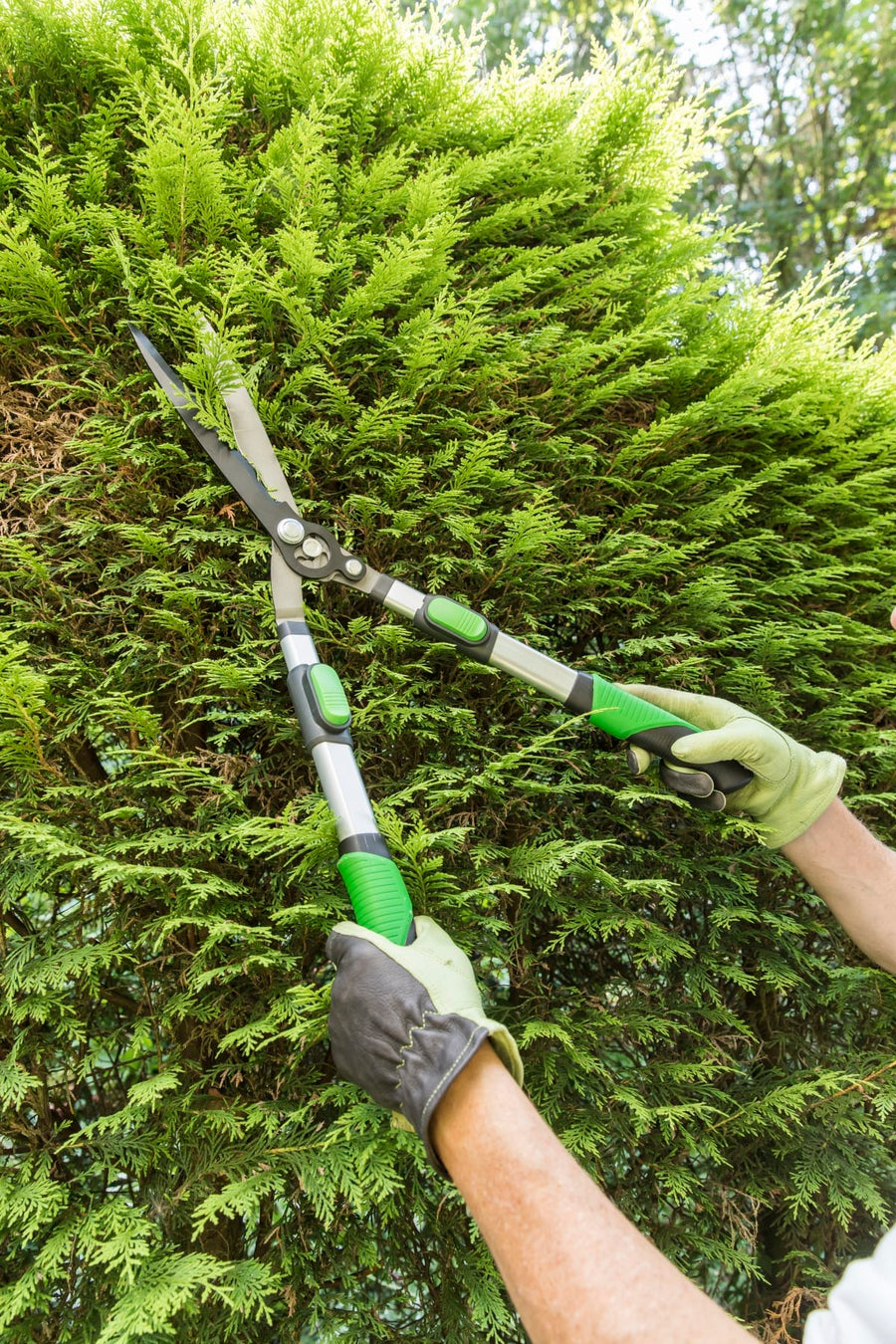 Bricocenter GEOLIA 66-90 CM EXTENDABLE ALUMINIUM HEDGE TRIMMER