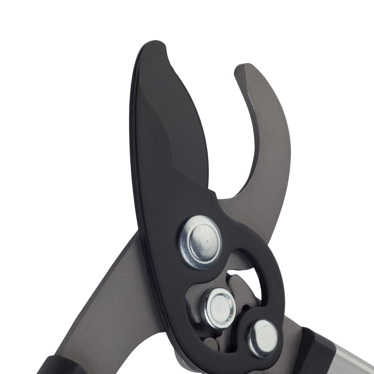 Bricocenter GEOLIA ALUMINIUM 66-90 CM EXTENDABLE LOPPERS