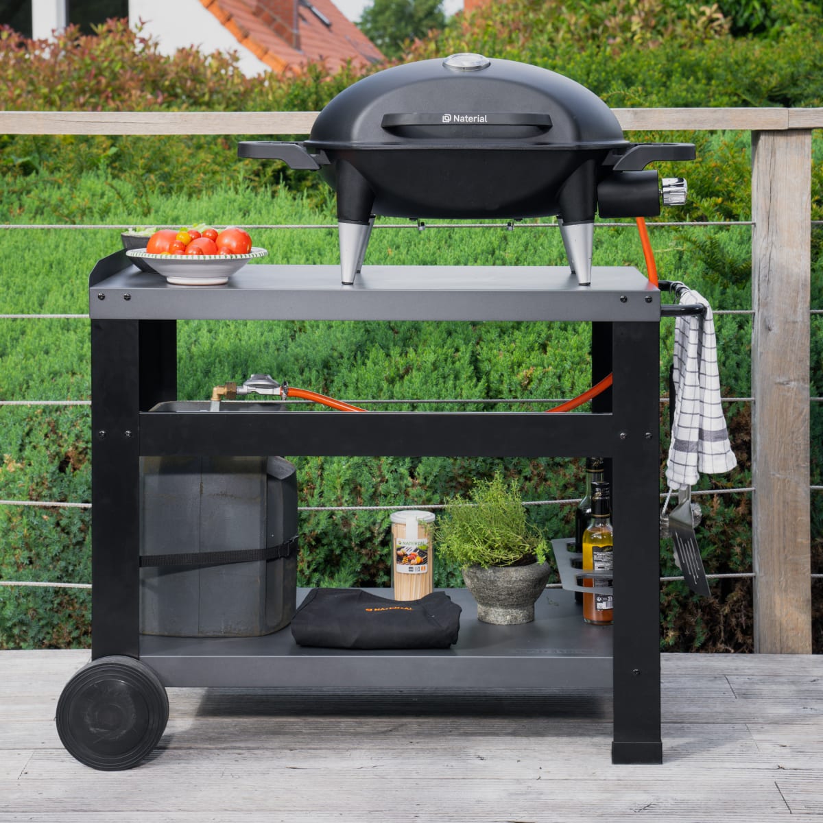 GAS BARBECUE NATERIAL ARGON 1 FUOCO 3KW WITH TROLLEY