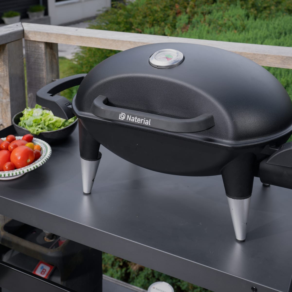 Bricocenter GAS BARBECUE NATERIAL ARGON 1 FUOCO 3KW WITH TROLLEY
