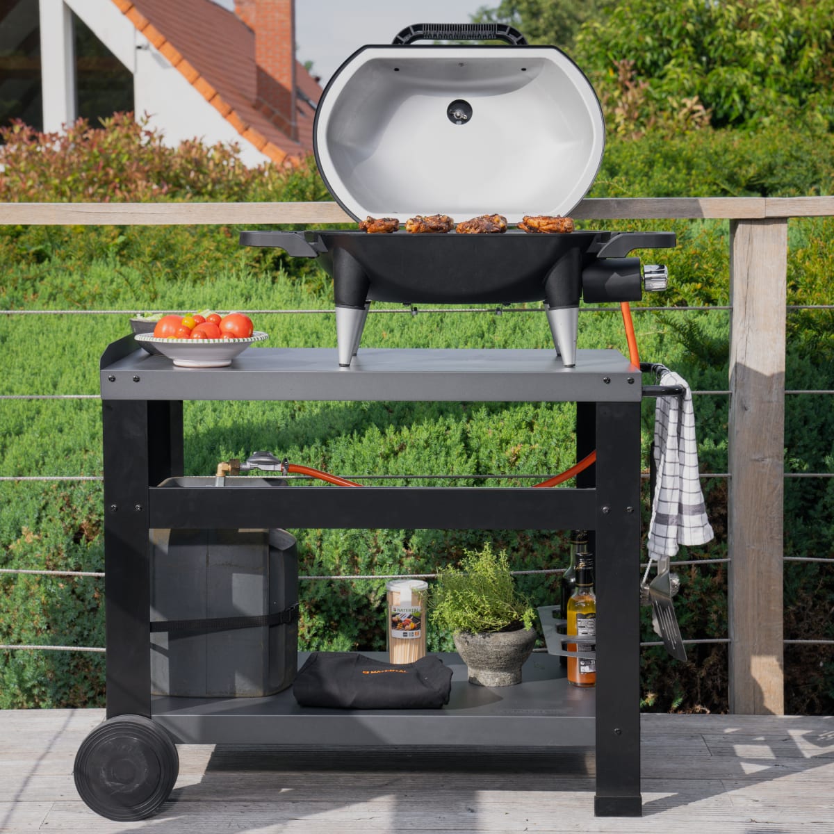 GAS BARBECUE NATERIAL ARGON 1 FUOCO 3KW WITH TROLLEY