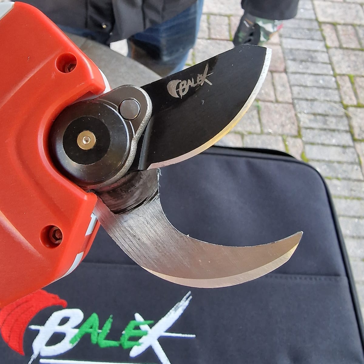 Bricocenter BALEX CORDLESS PRUNER AND SCISSOR KIT