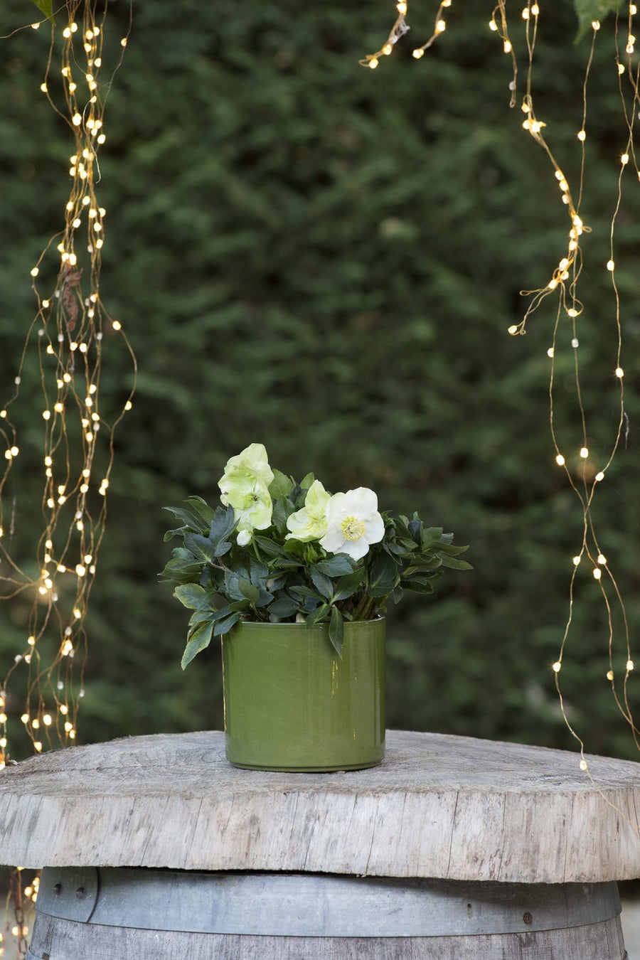 Bricocenter CILINDRO CLIZIA CM 13,6 H 11,8 VERDE