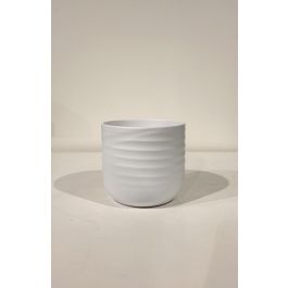 CASPO' MERIDA CM 22 H 19,5 BIANCO