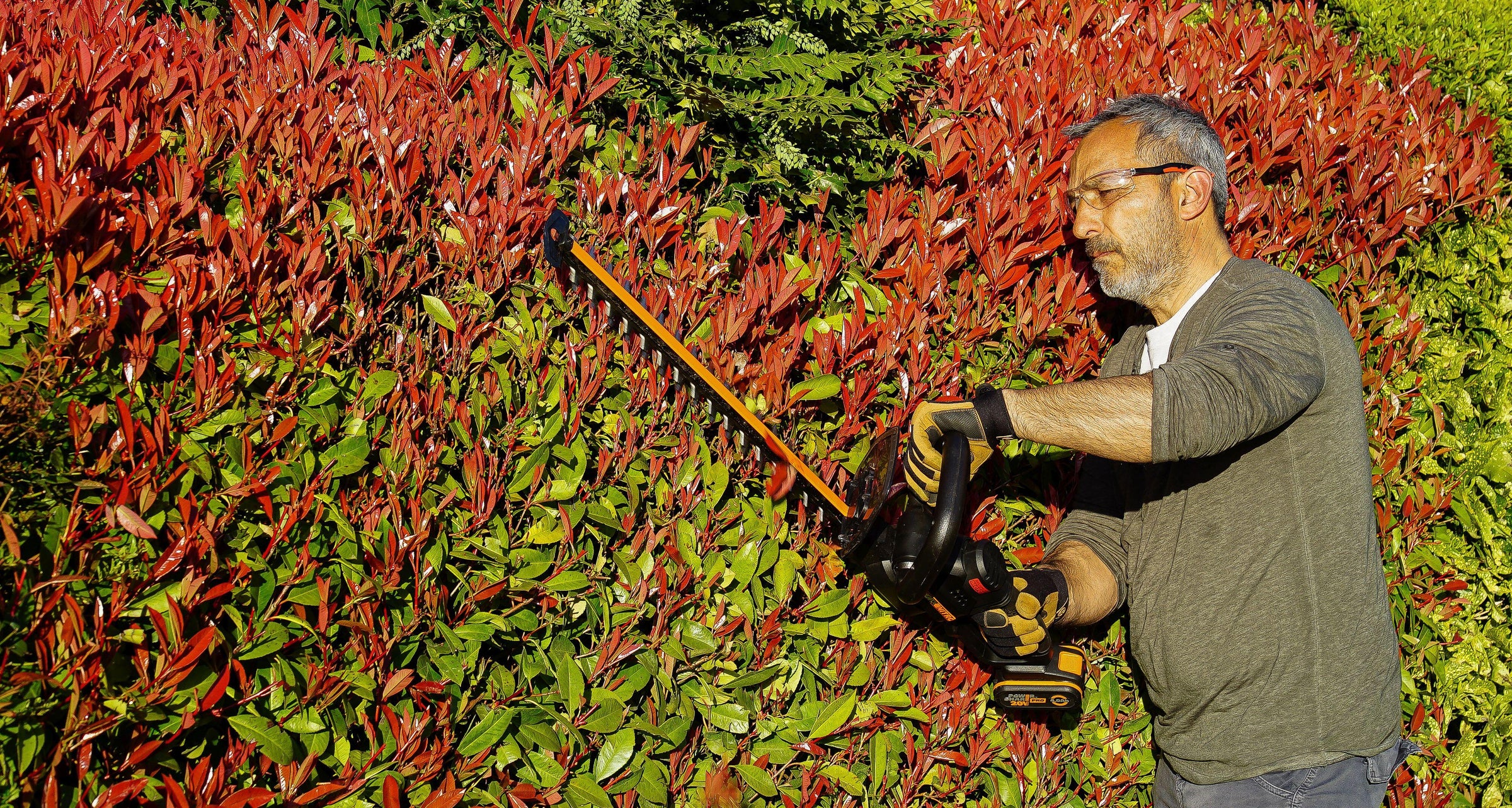 HEDGE TRIMMER BLADE 57CM CUT 27MM WORX NITRO WG263E WITH BATTERY AND CHARGE