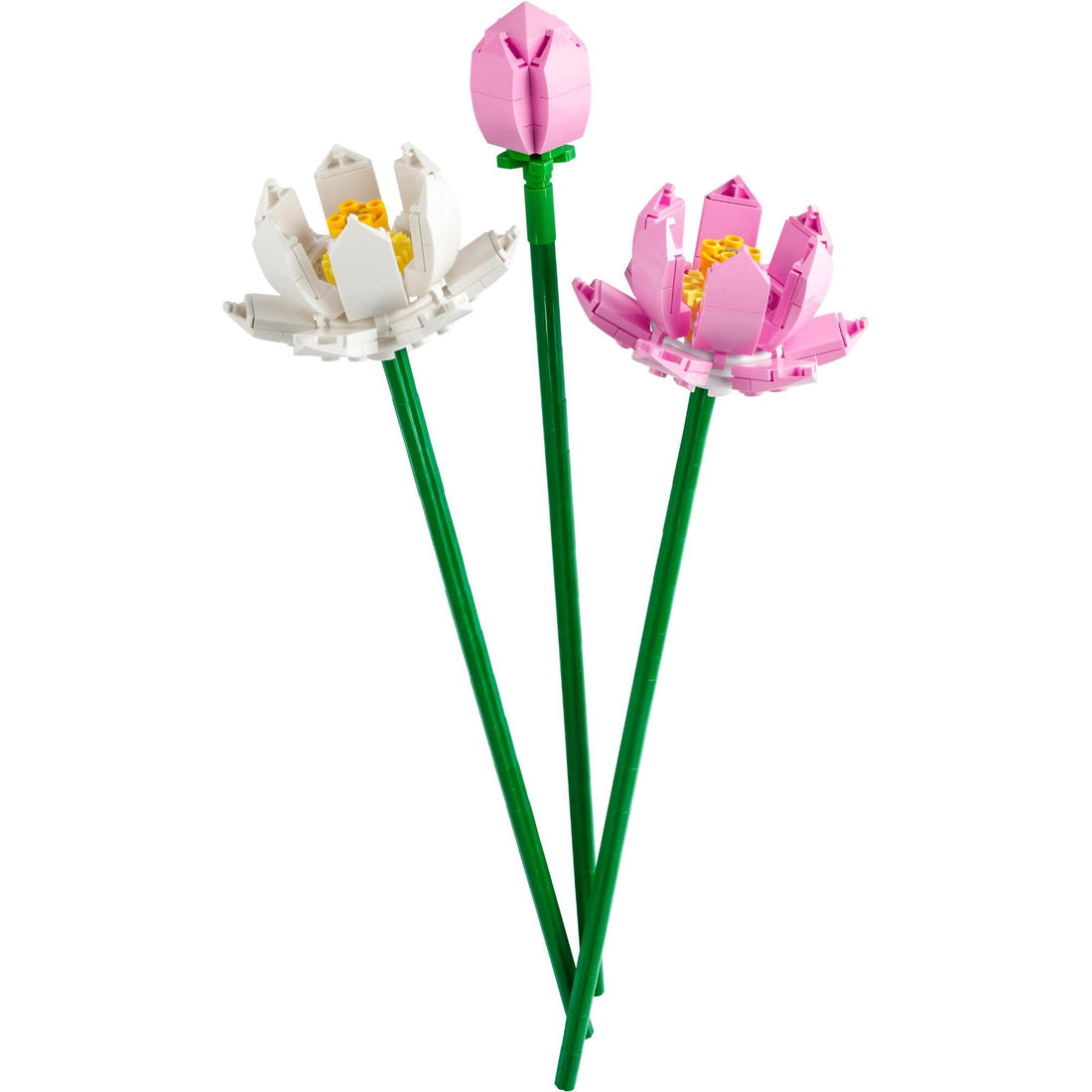 LEL Flowers - Lotus flowers