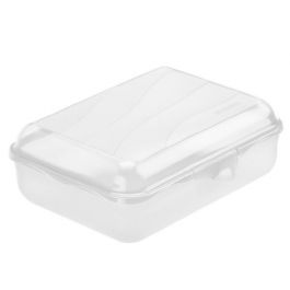 CONTAINER WITH LID FUNBOX TRASPAR