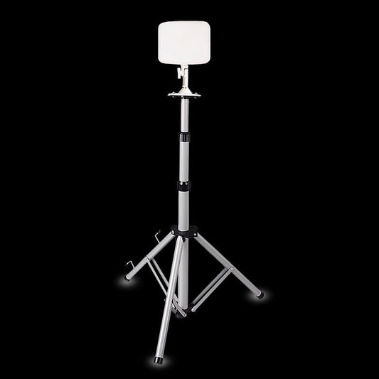 Bricocenter 30W GRAY LED ALUMINUM PROJECTOR WITH TRIPOD