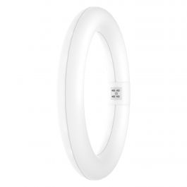 CIRCULAR LED G10Q 22W WARM LIGHT