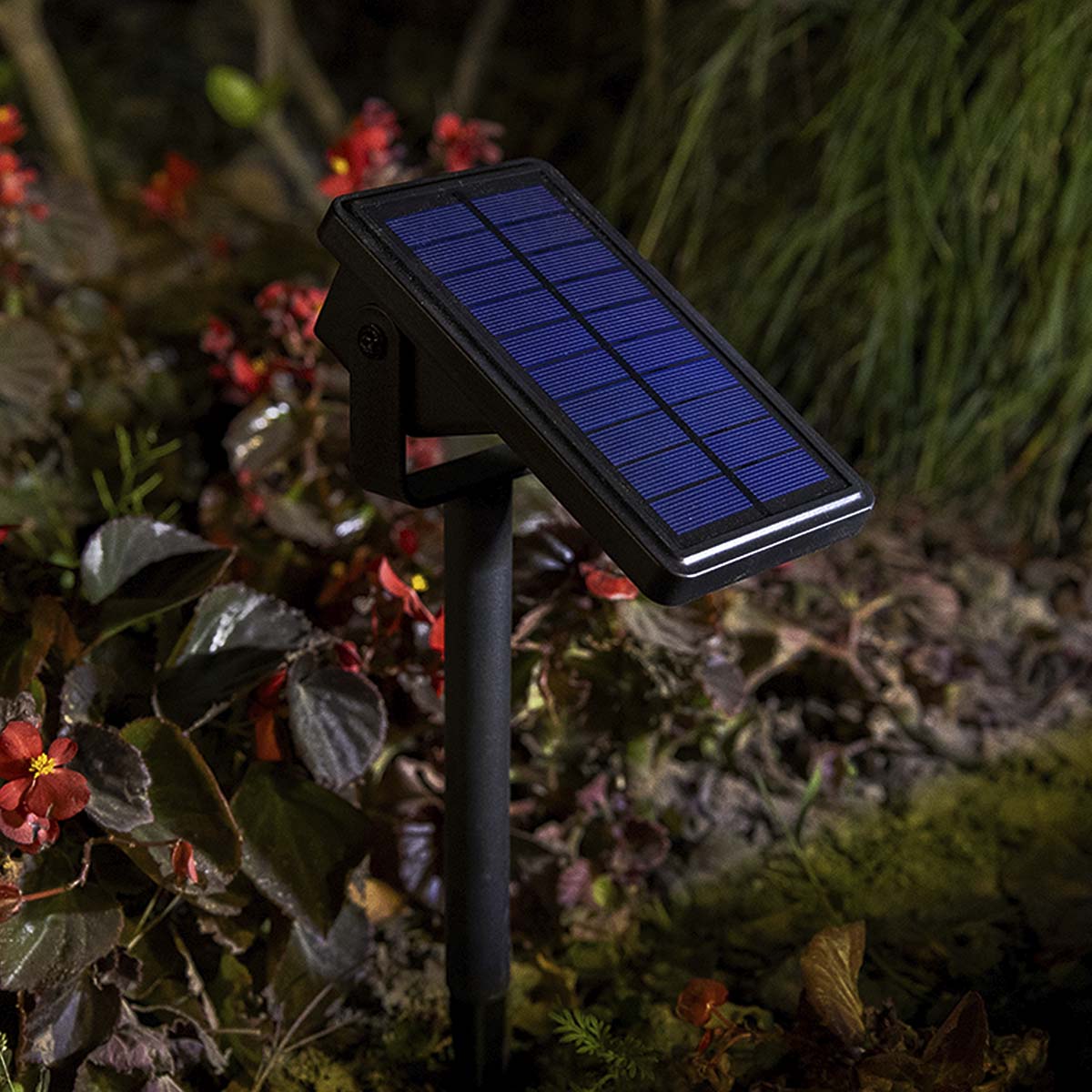 Rino solar stake light, black plastic, 35.5cm, cool white light