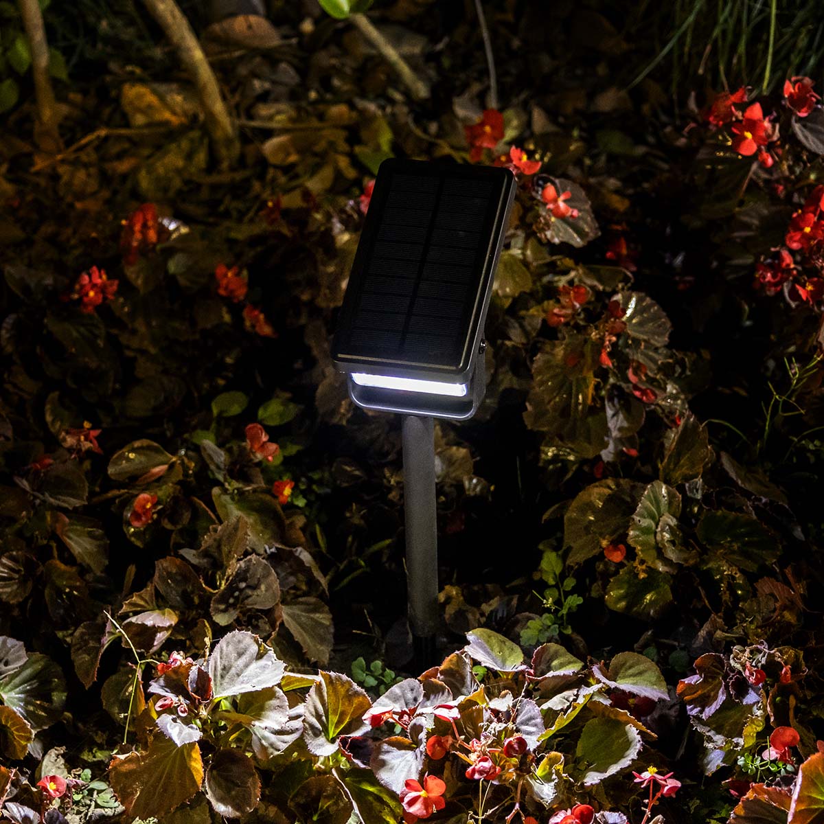 Rino solar stake light, black plastic, 35.5cm, cool white light