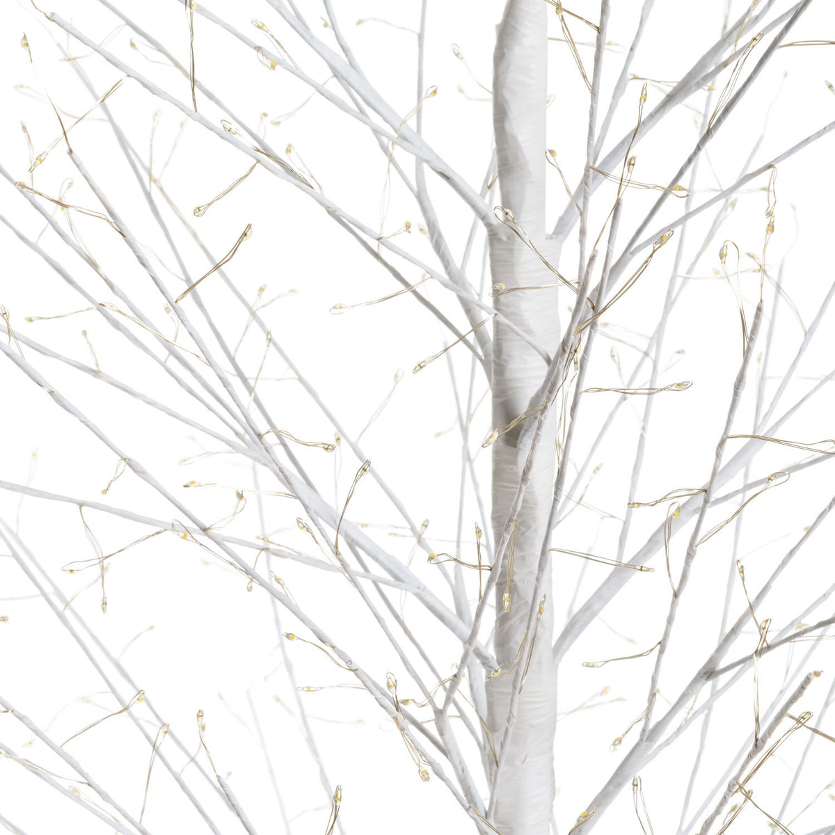 Albero luminoso luce calda tiglio bianco 1120 micro led h200 cm