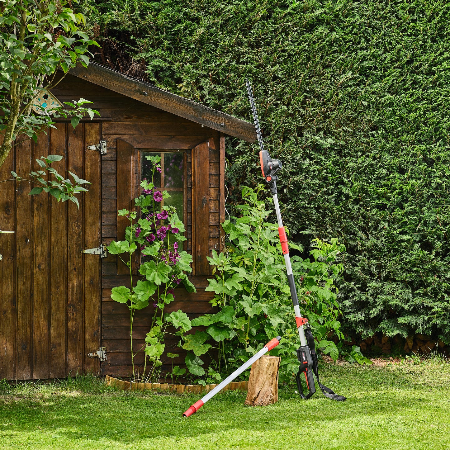 STERWINS 18V CORDLESS TELESCOPING POLE HEDGE TRIMMER BATTERY NOT INCLUDED