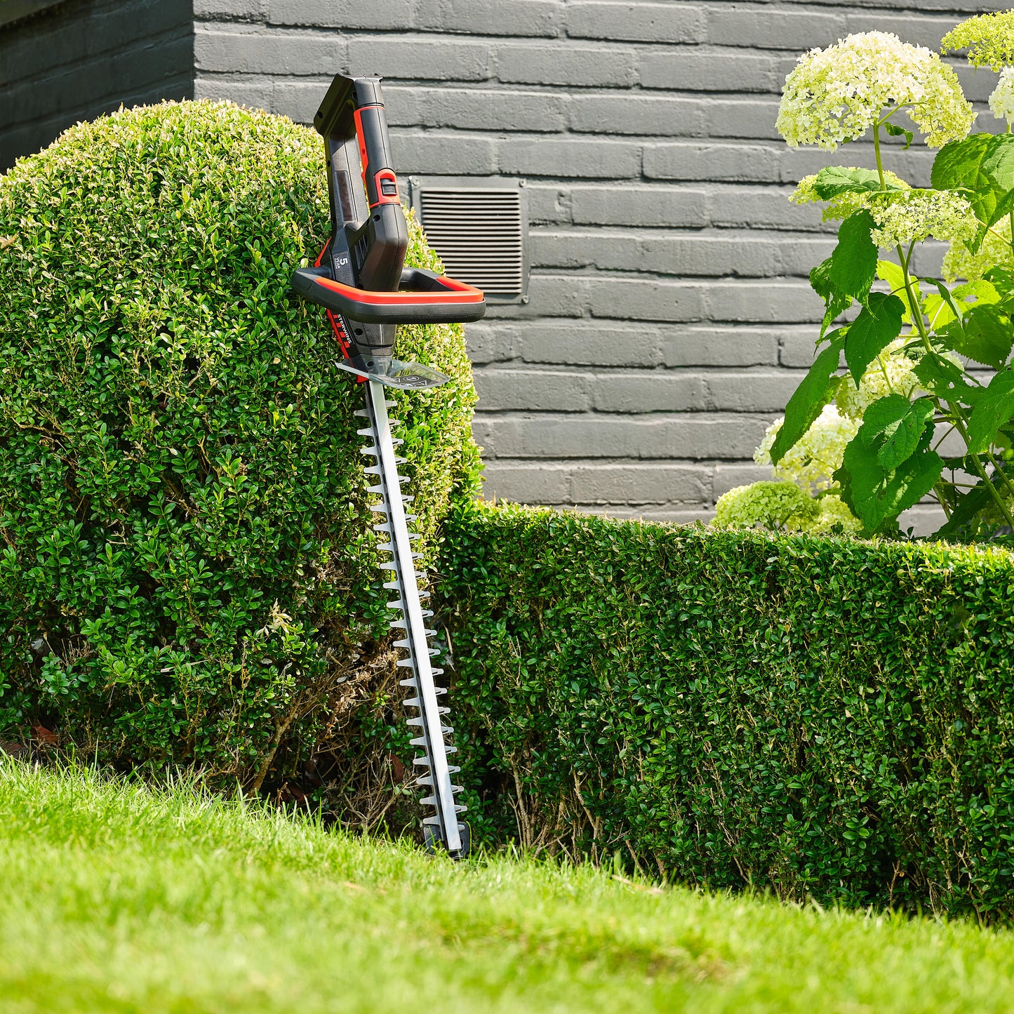 STERWINS 18V CORDLESS HEDGE TRIMMER BATTERY NOT INCLUDED