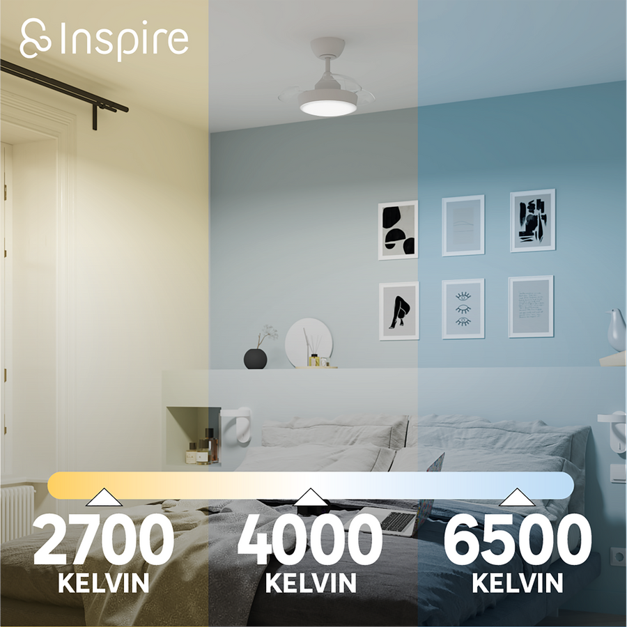 WIZZI CEILING FAN METAL WHITE D54 CM LED 2200LM CCT DIMMABLE WITH 3 BLADES