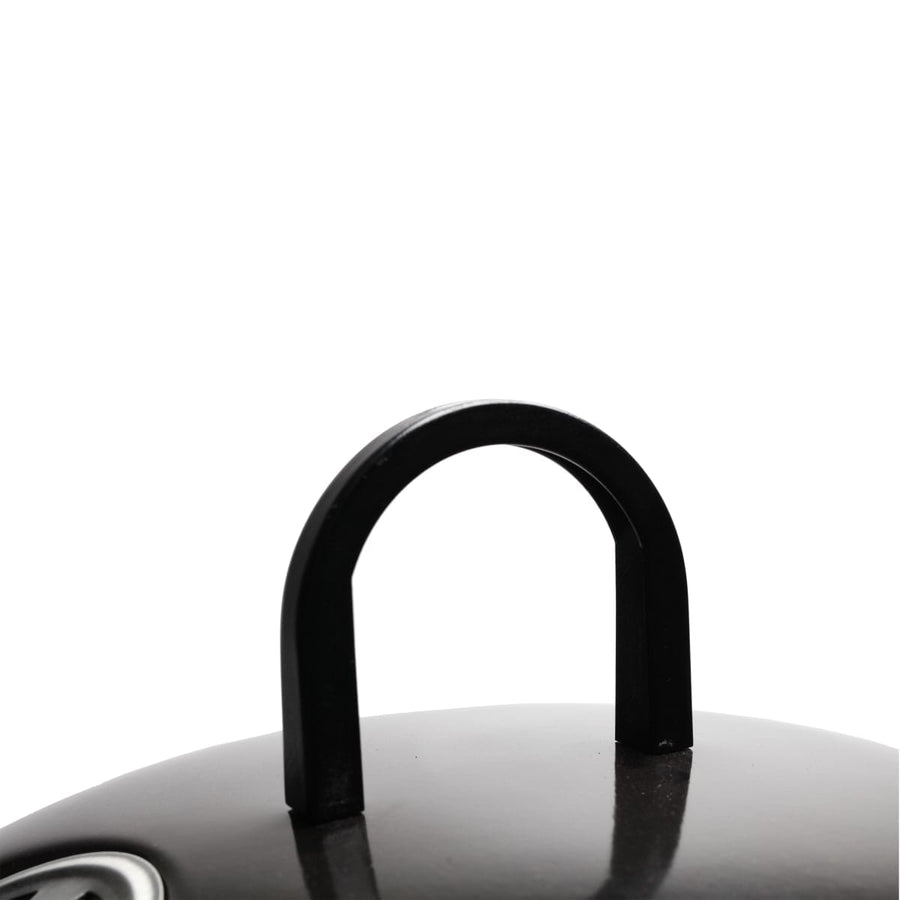 Bricocenter PEGASIAN - Charcoal barbecue