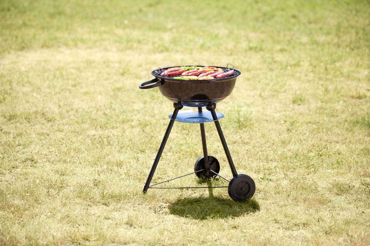Bricocenter PEGASIAN - Charcoal barbecue