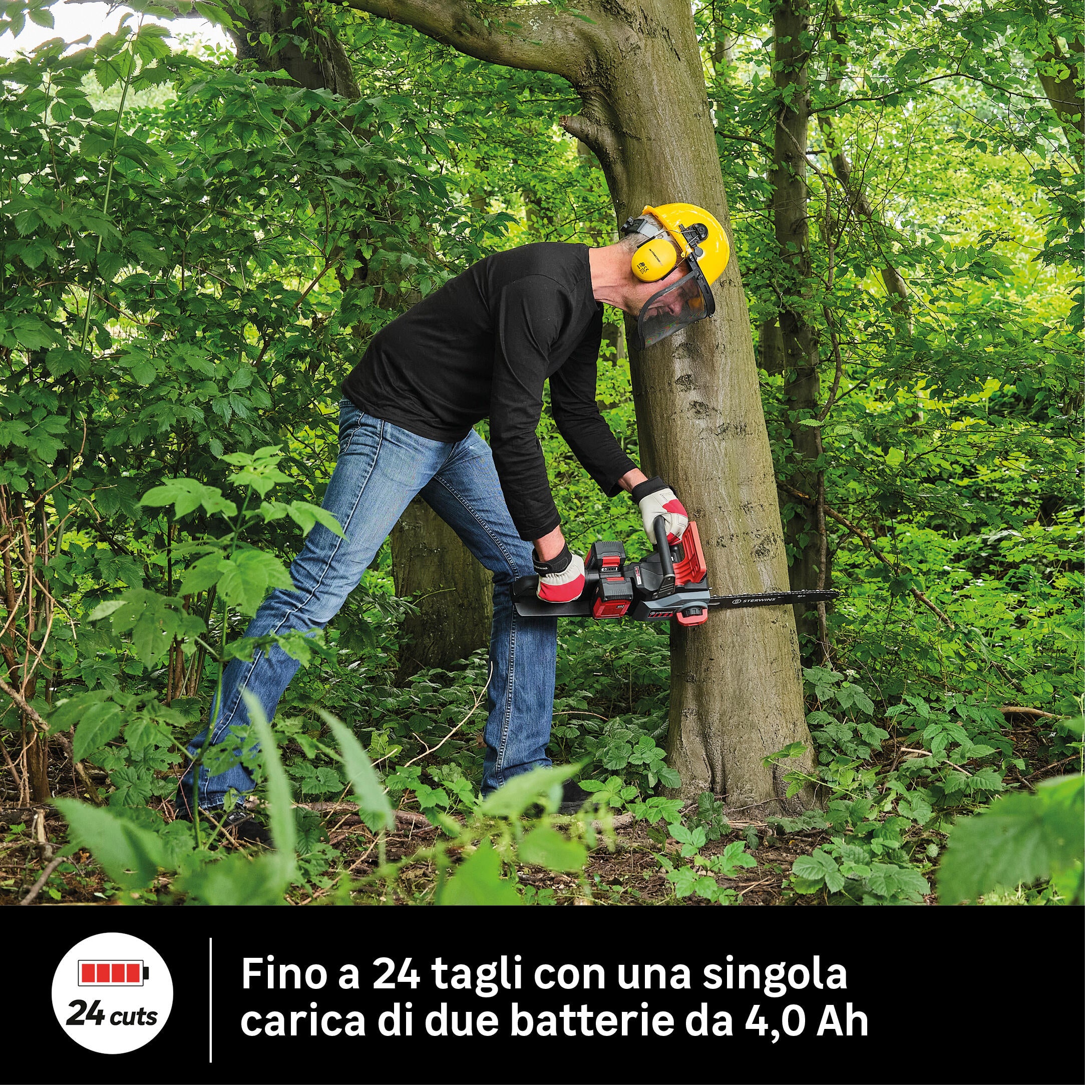 STERWINS 36V CORDLESS CHAINSAW 35CM BAR WITHOUT BATTERY