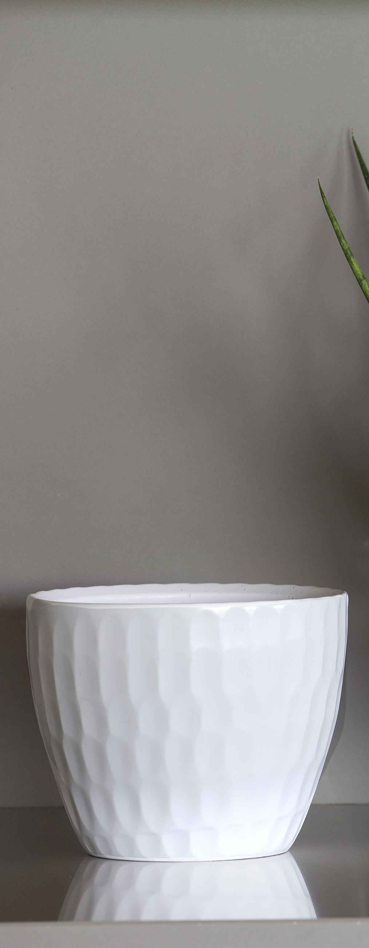 CASPO' NICOLE CM 18 H 14,6 WHITE