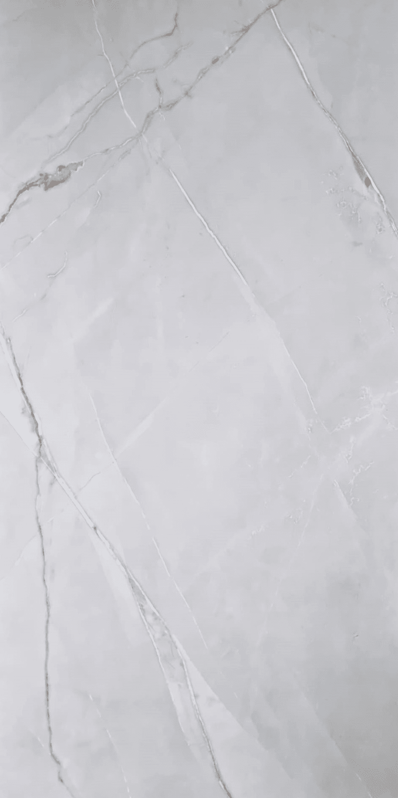 Ash Carving 60x120cm porcelain stoneware floor and wall tiles, 1.44 m²