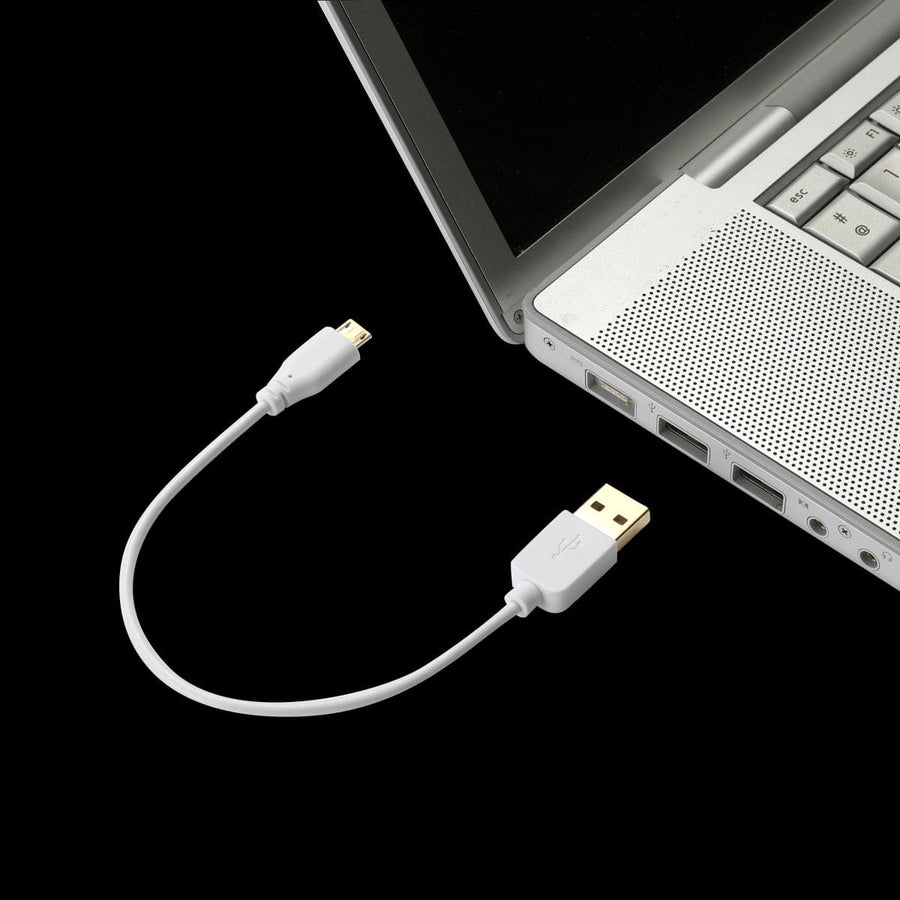 Bricocenter 20 CM MICRO USB/TYPE A CABLE