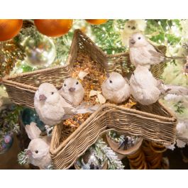 LITTLE BIRD WITH CLIP H 8 CM ASSORTED