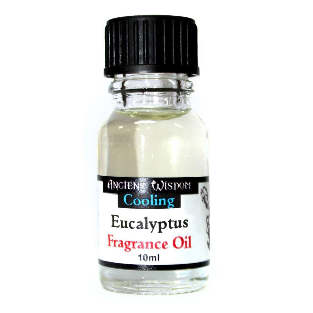 10ml Eucalyptus Fragrance Oil - best price from Maltashopper.com AWFO-22