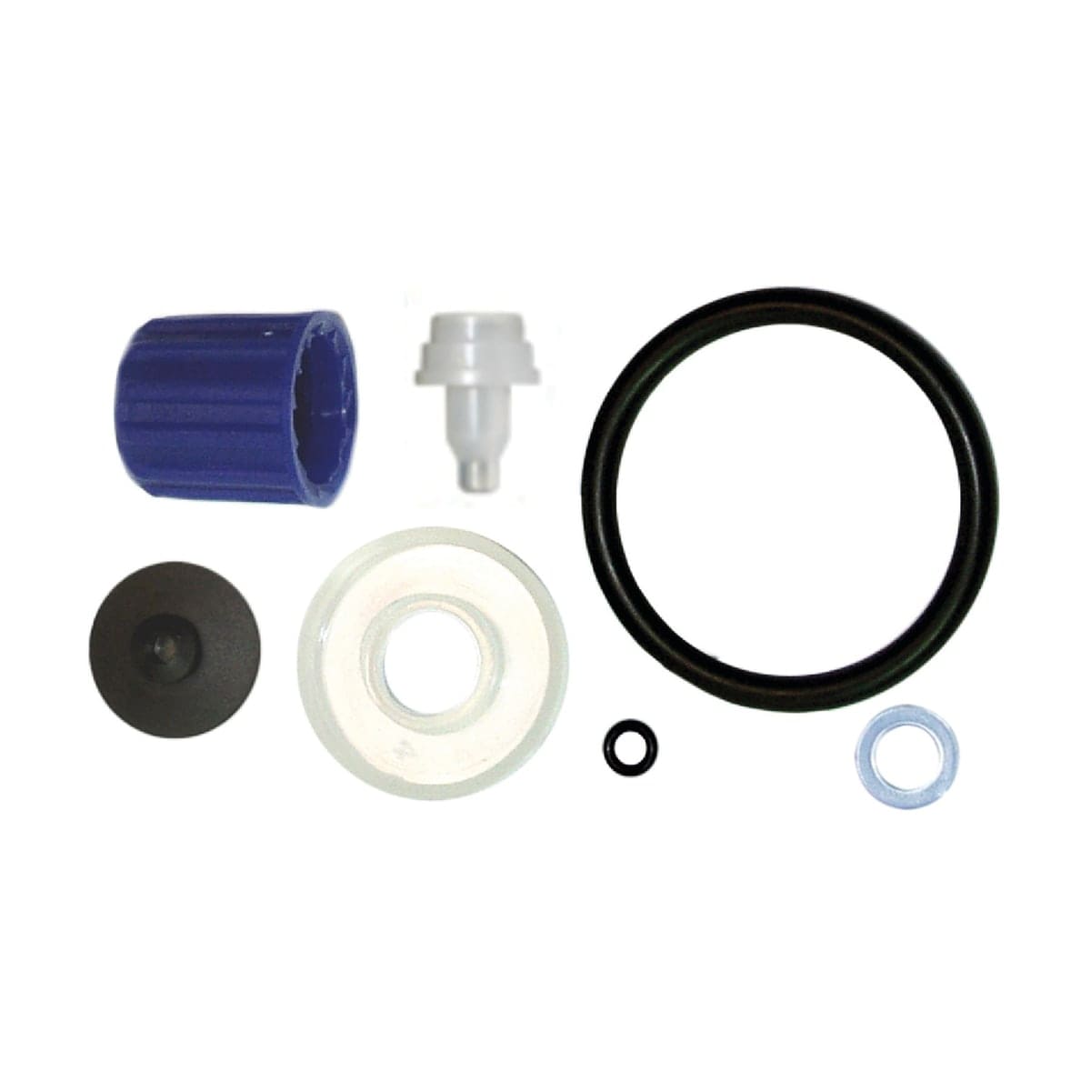 Bricocenter REPLACEMENT KIT FOR 5 TO 10 L PRESSURE SPRAYERS