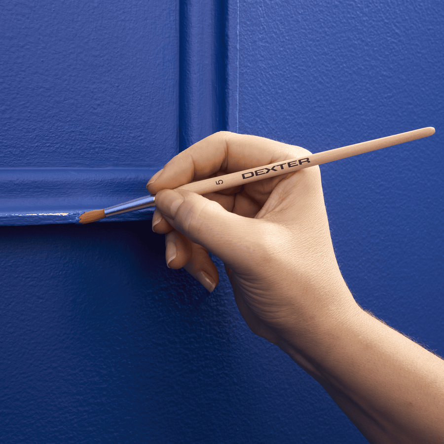 Set of 5 touch-up brushes: 3 flat and 2 pointed (Dexter)