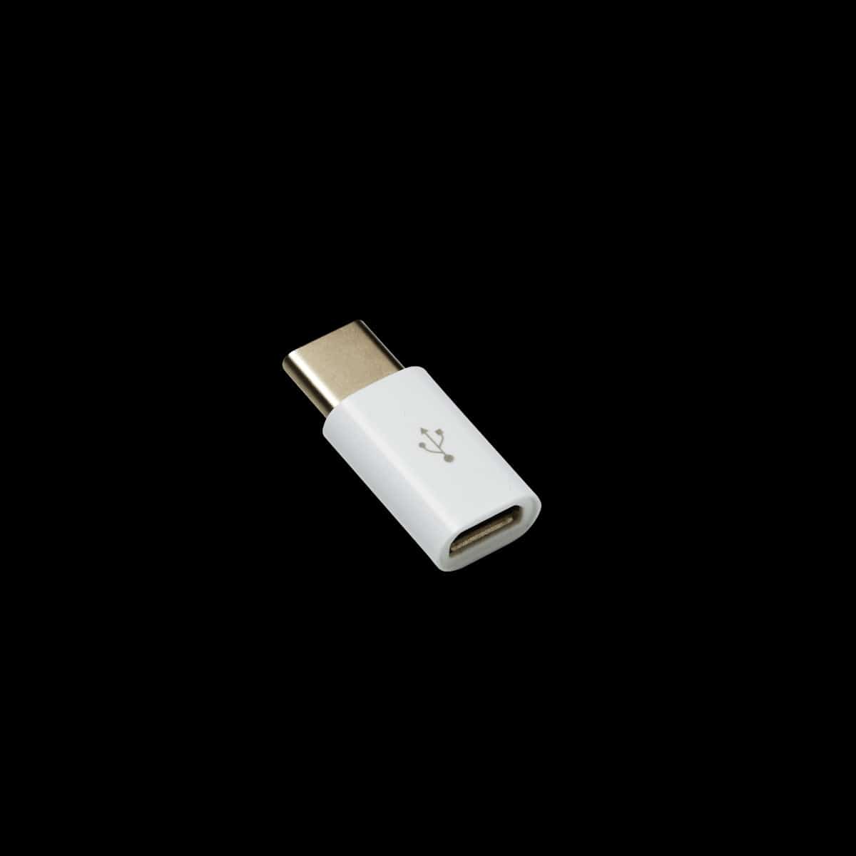 Bricocenter MICRO USB FEMALE/ USB C MALE ADAPTER