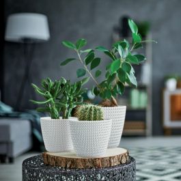 VASO SPLOFY DIAM.22 BIANCO