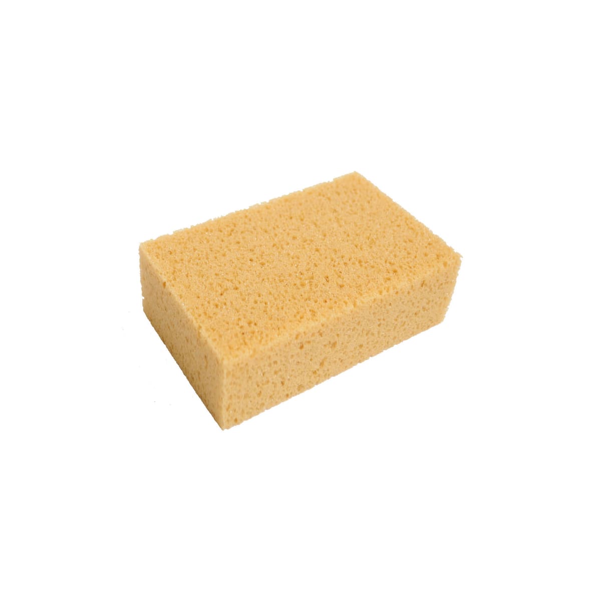 ECO SPONGE 15x10x5 CM