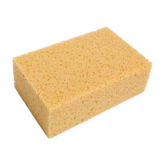 ECO SPONGE 15x10x5 CM