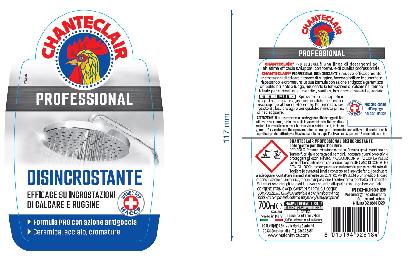 PROFESSIONAL CLEANER STRONG DESCALER 700 ML CHANTECLAIR