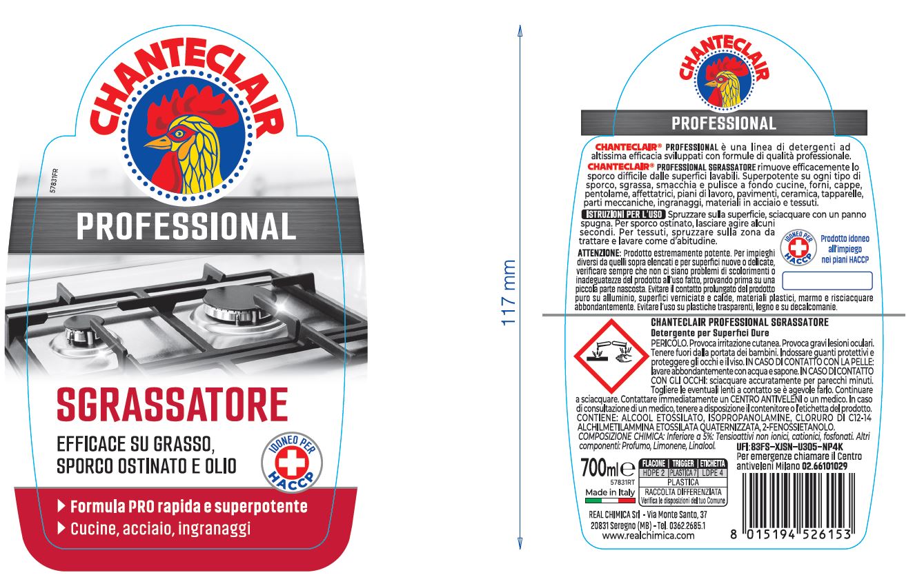PROFESSIONAL CLEANER DEGREASER OVENS AND GRILLS 700 ML CHANTECLAIR