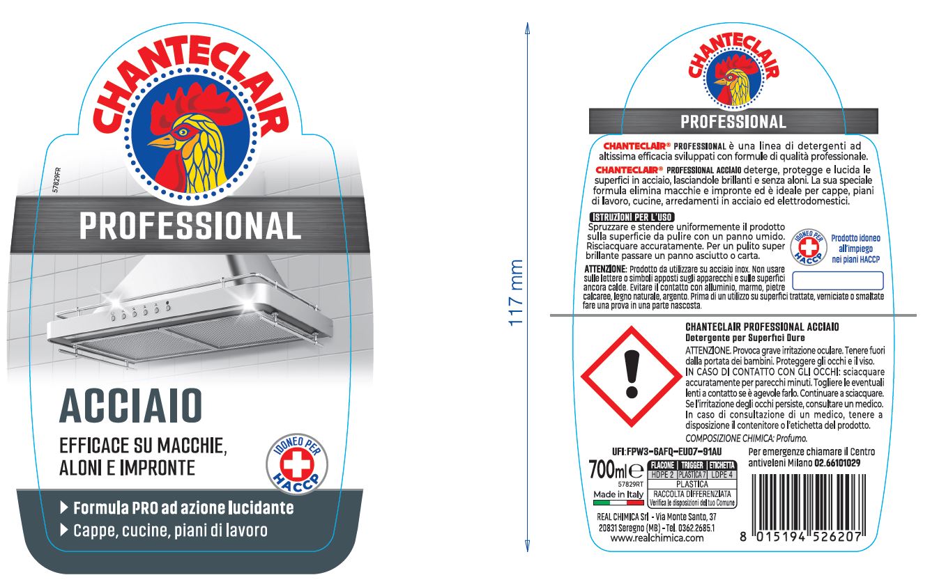 PROFESSIONAL BRIGHT STEEL CLEANER 700 ML CHANTECLAIR