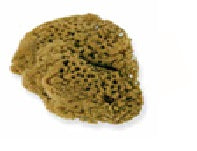 Natural sea sponge, approx. 14x14cm