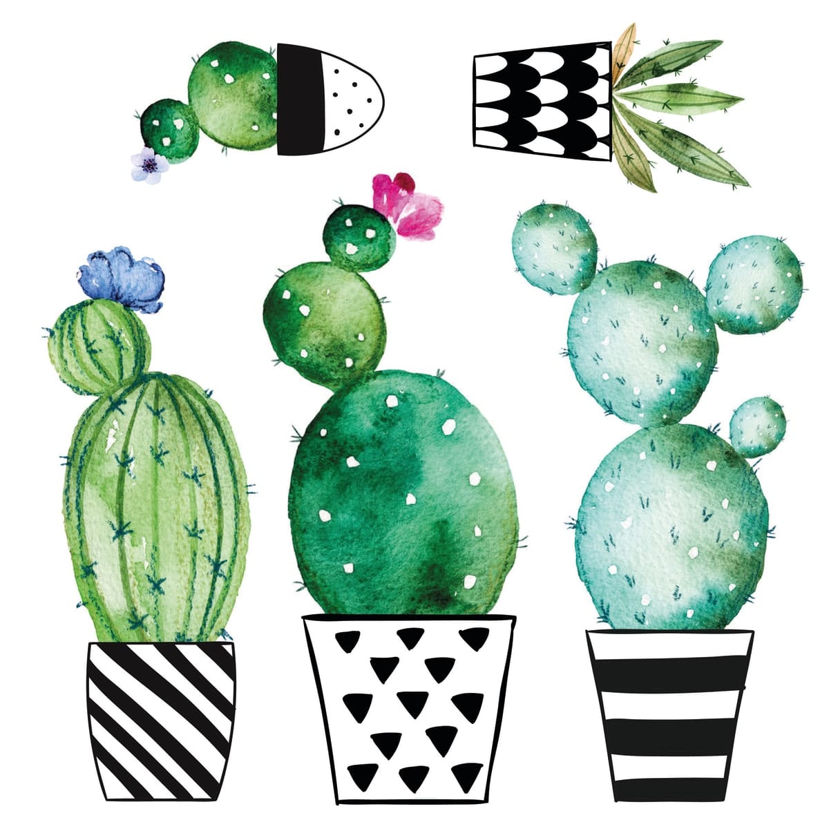 Bricocenter CACTUS STICKER M