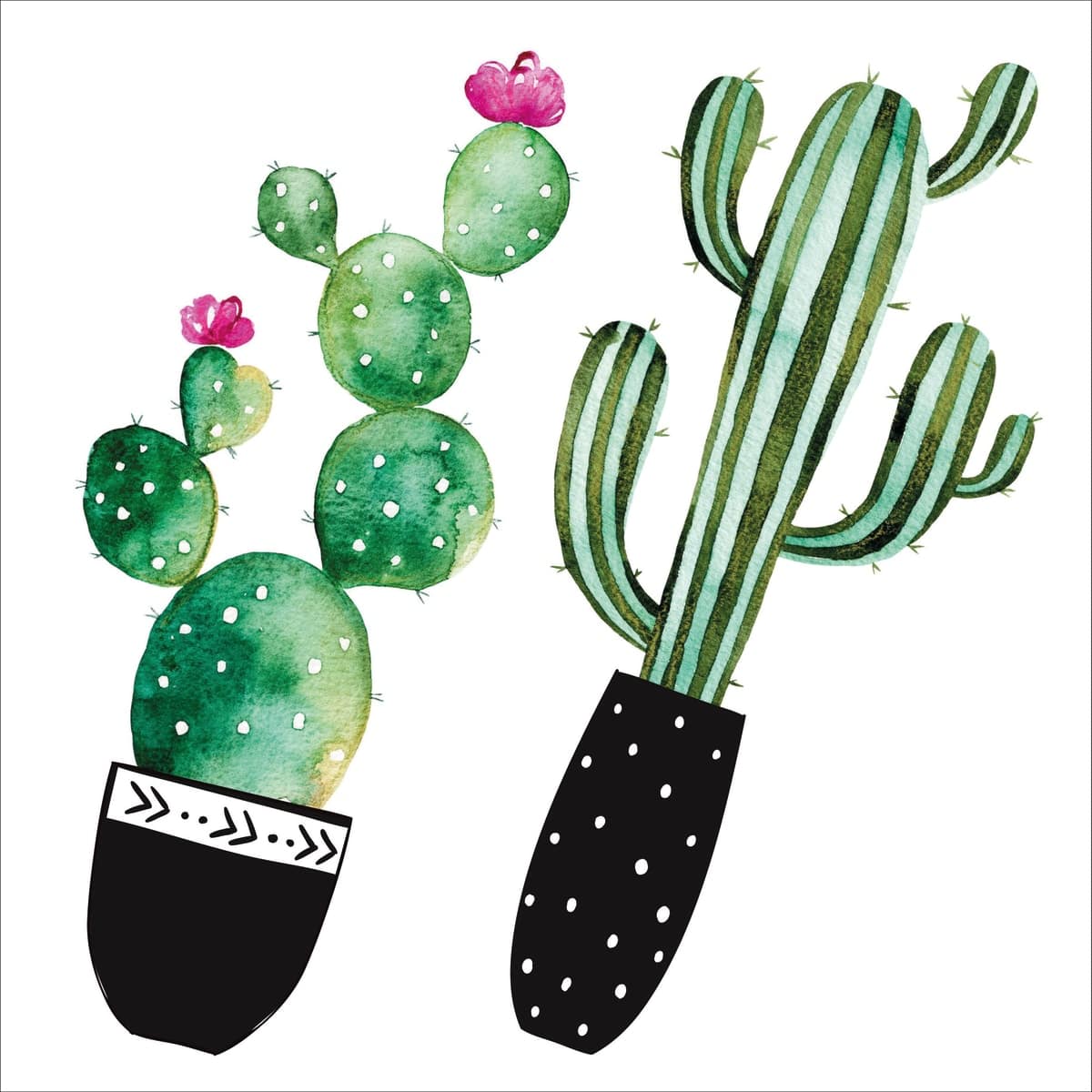 Bricocenter CACTUS STICKER M