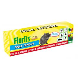 RODENTICIDE GLUE 135GR