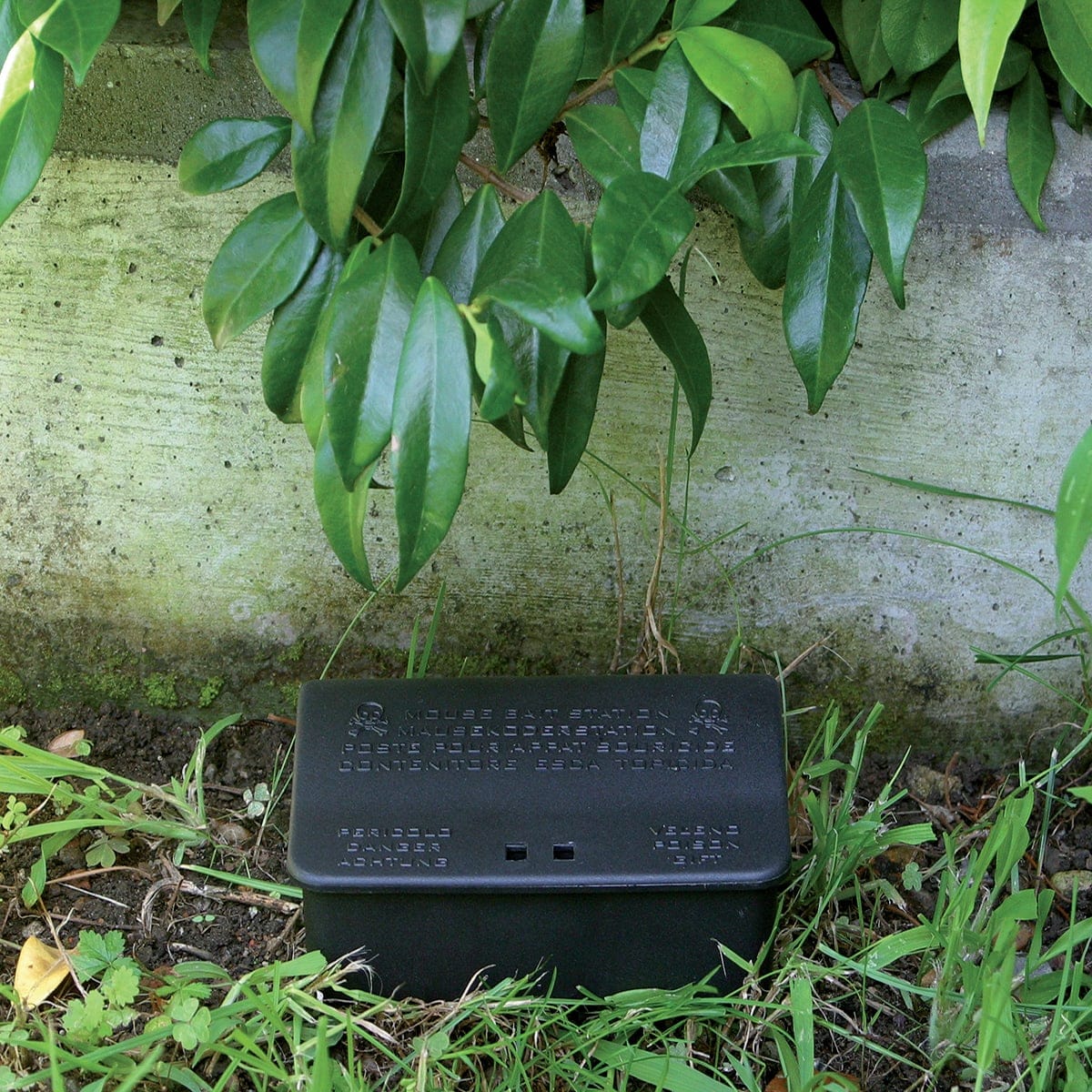 Bricocenter CONTAINER FOR RAT BAIT