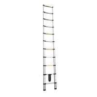 EXTENSIBLE LADDER 9 STEPS ANODISED ALUMINIUM