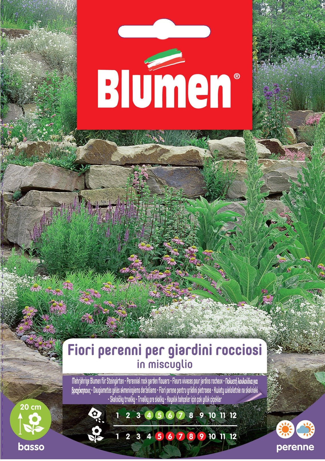 EV FLOWERS PERENNIAL GIAR.ROCC.  -